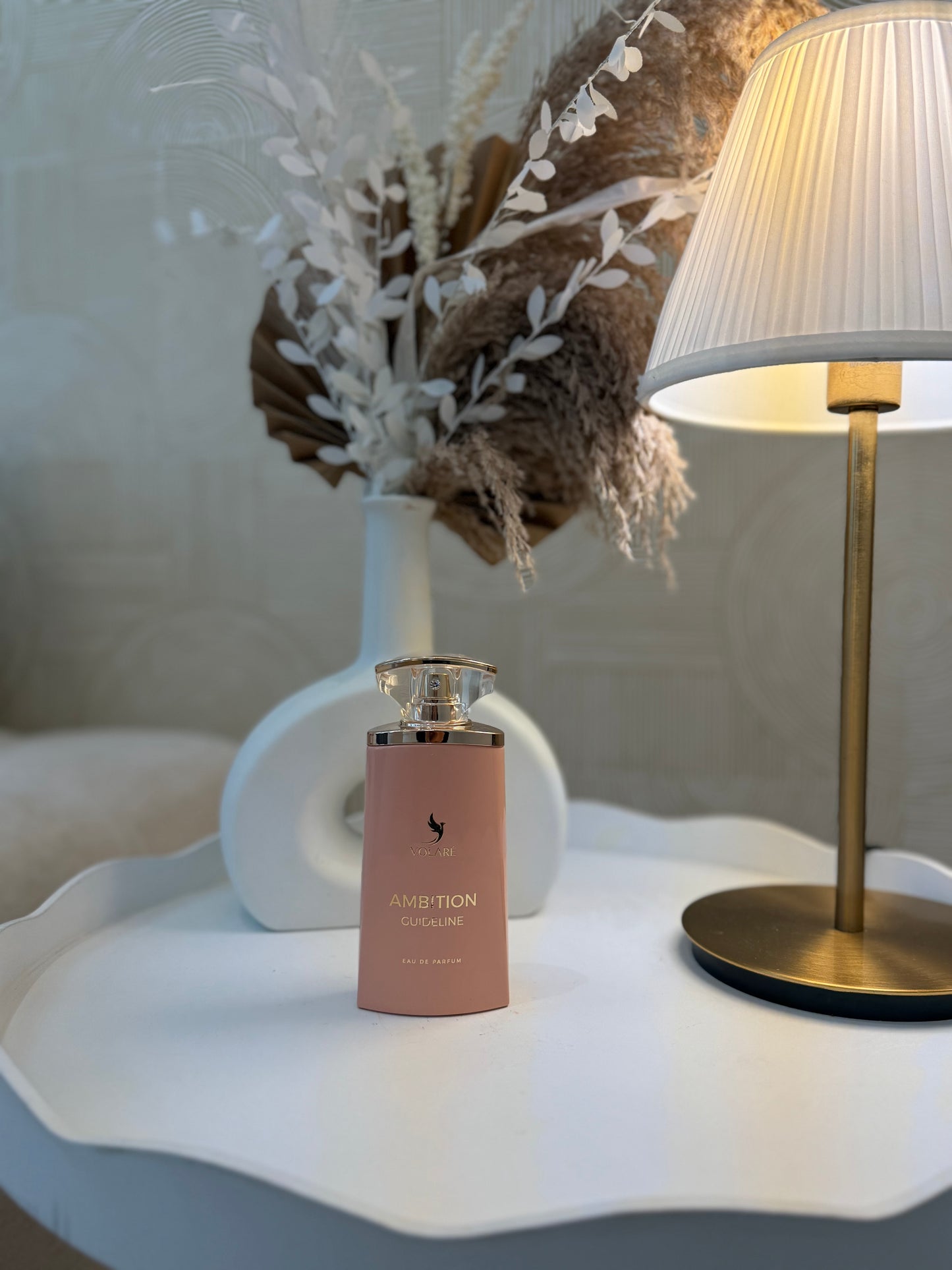 AMBITION GUIDELINE - Volaré